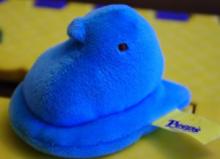 Sibling Rivalry|The Brother Peep Wars